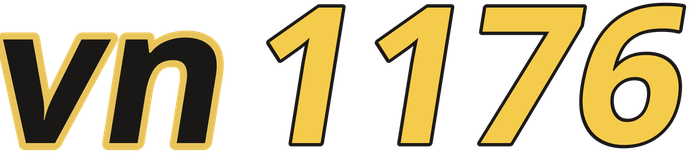 vn1176 logo